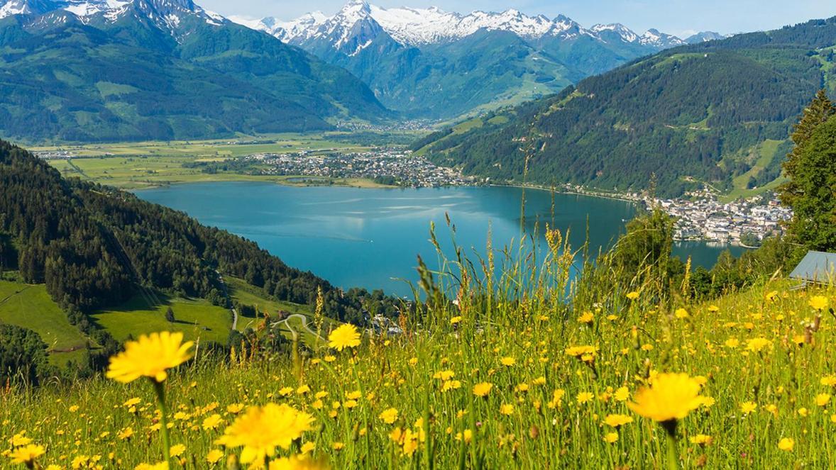 Appartement Berger Zell am See Eksteriør billede