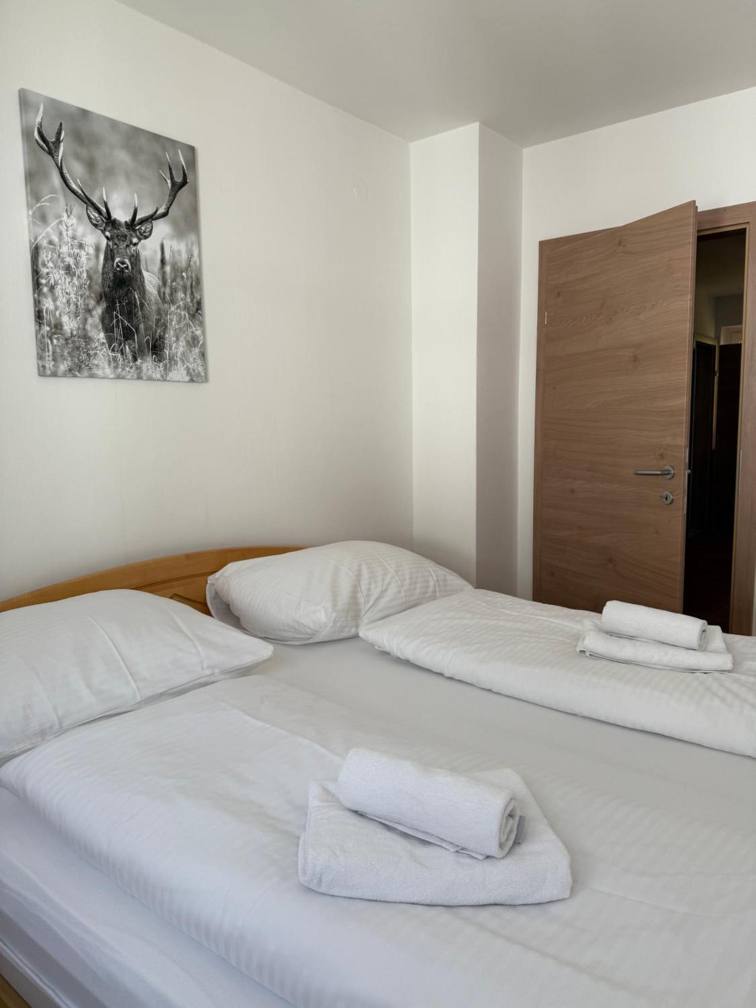 Appartement Berger Zell am See Eksteriør billede